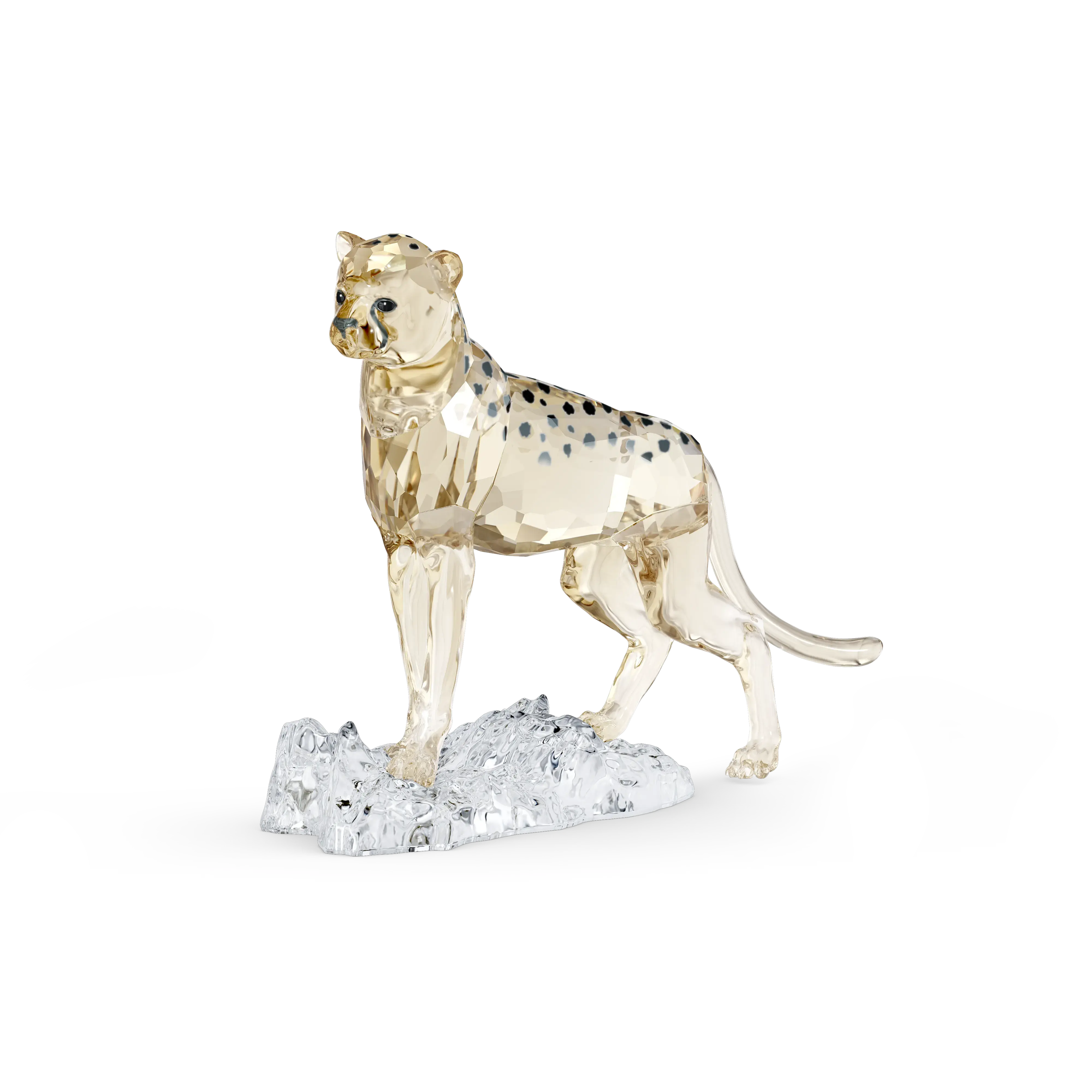 Elegance of Africa SCS Cheetah Baby Jabari