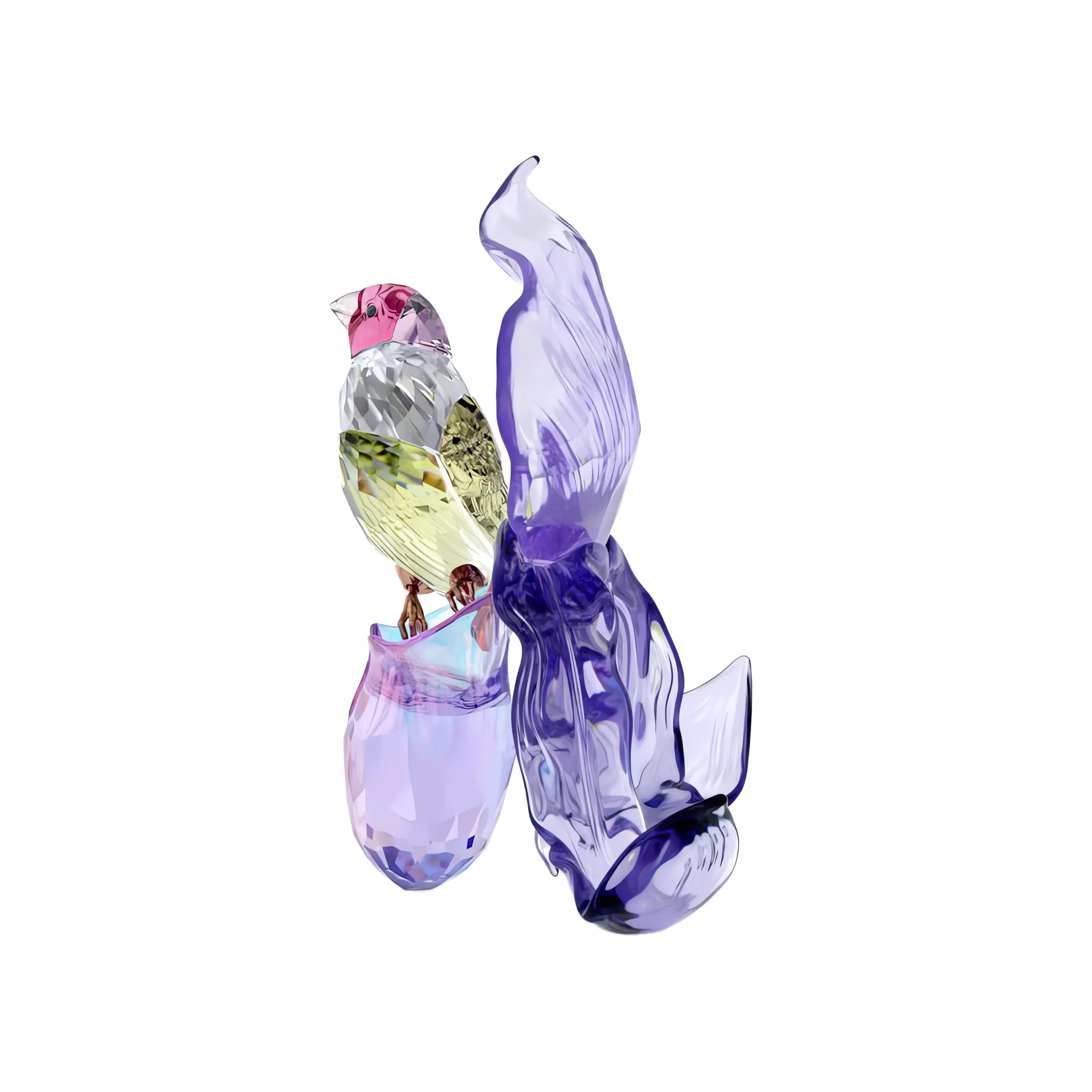 Idyllia Gouldian Finch and Orchid