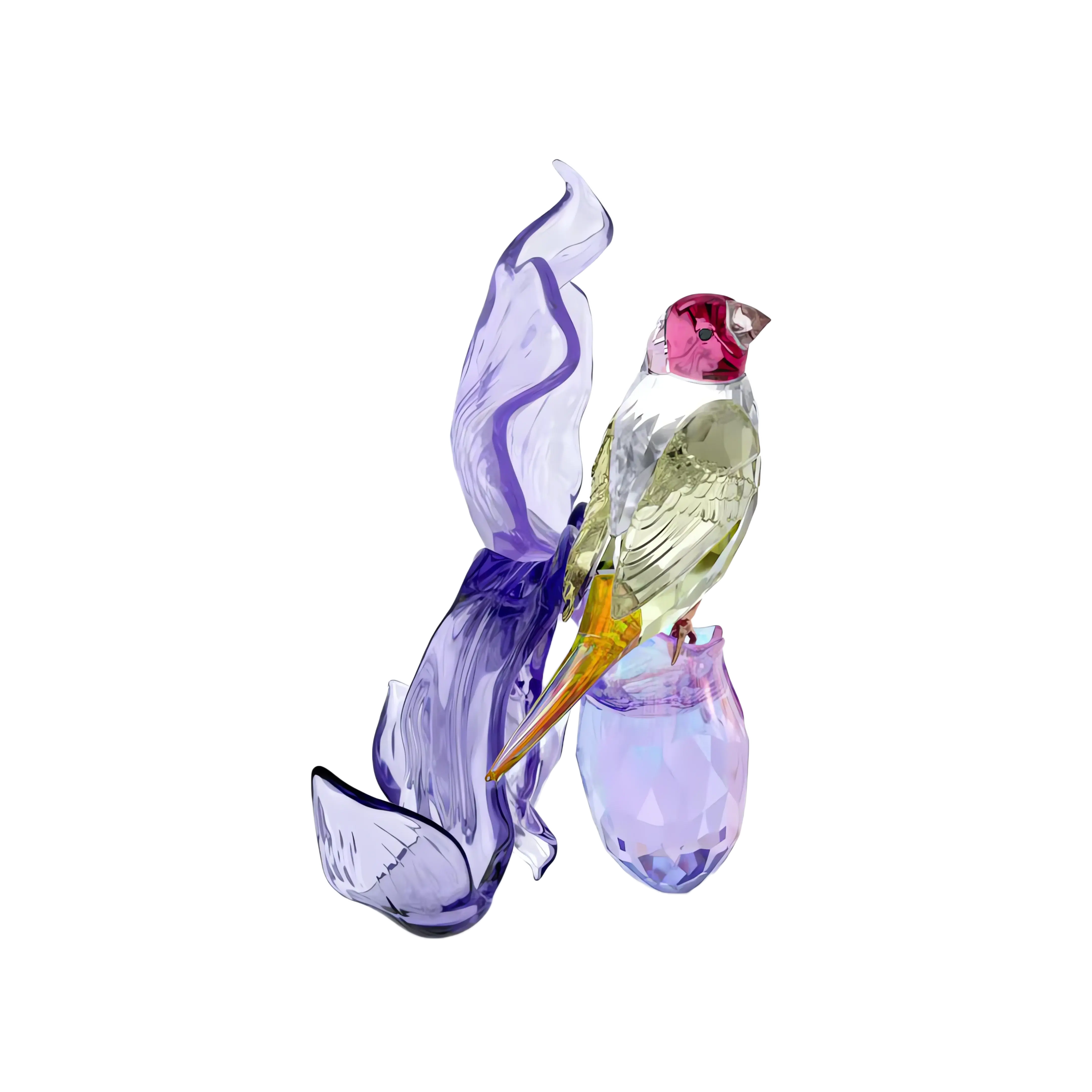 idyllia-gouldian-finch-and-orchid-swarovski-5675211-3.webp