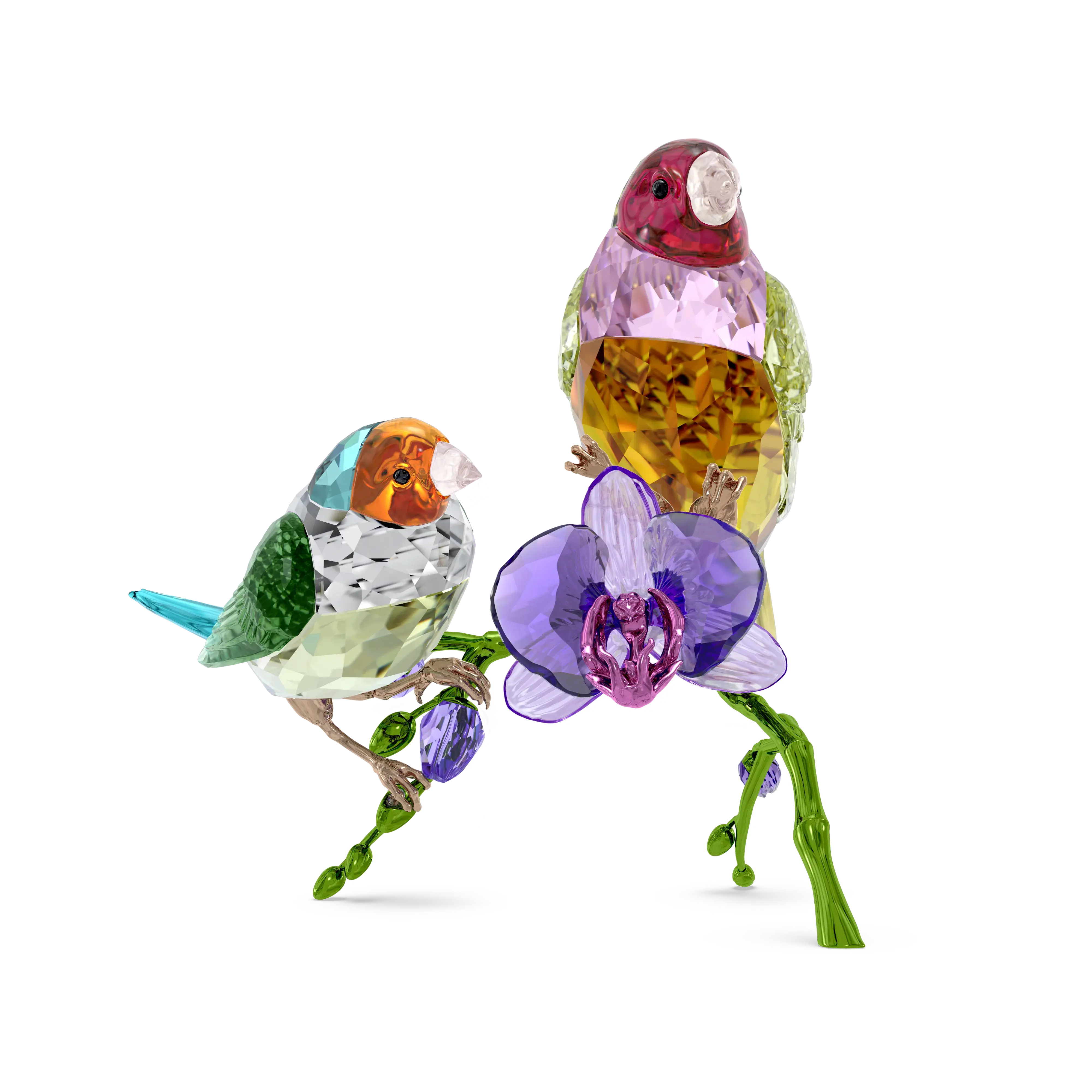 Idyllia SCS Annual Edition 2024 Gouldian Finches