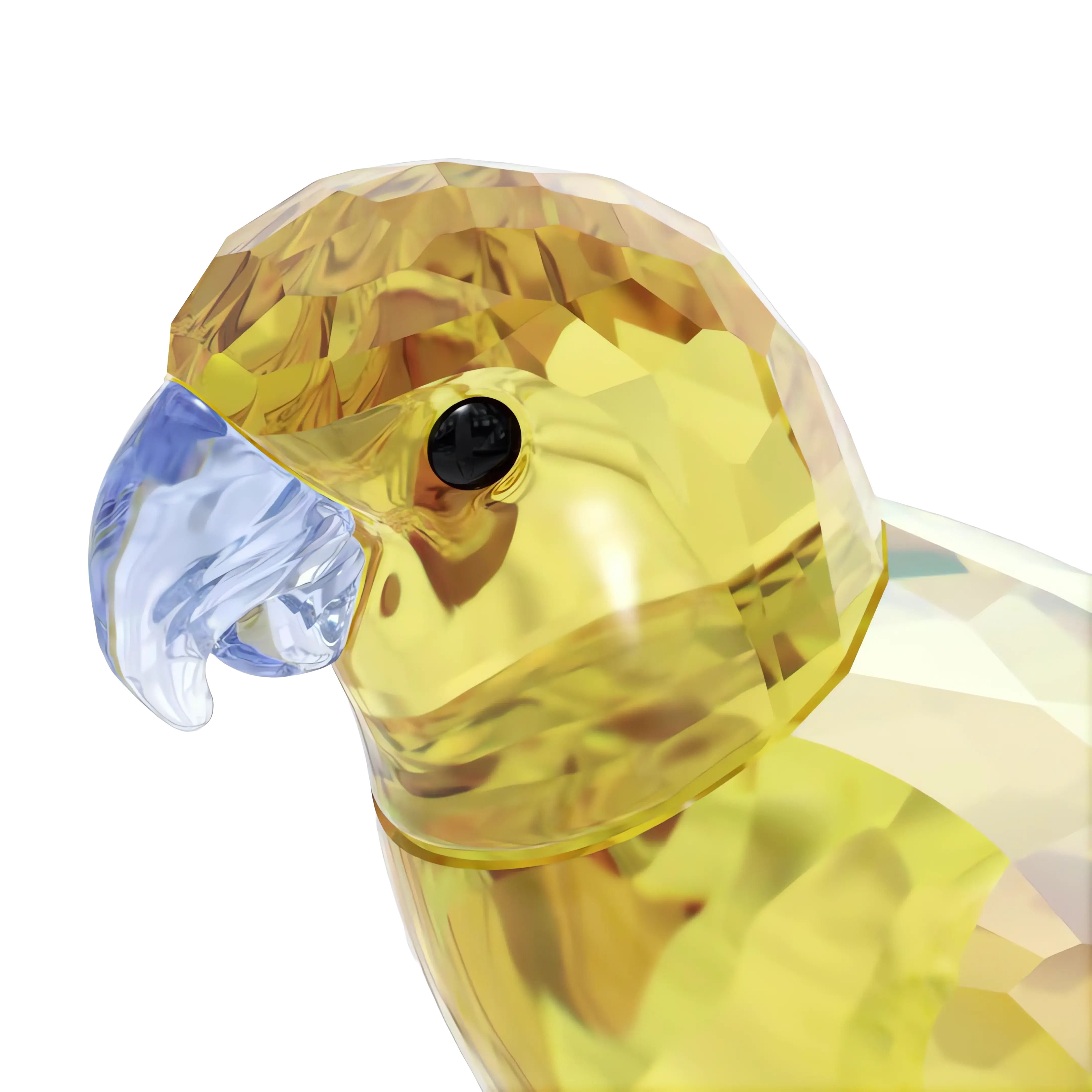 Jungle Beats Yellow Parakeet Lechee