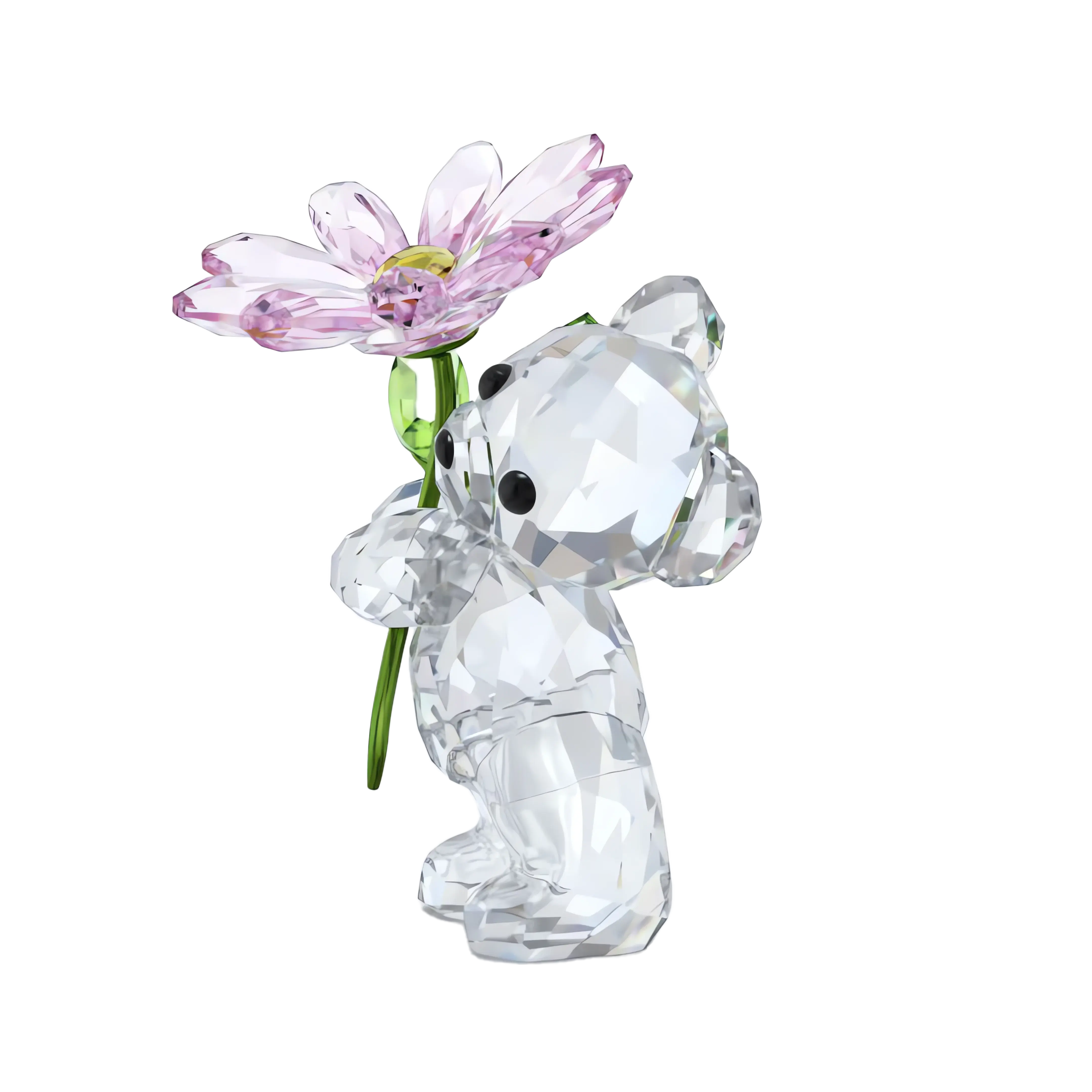 Kris Bear A Daisy for You