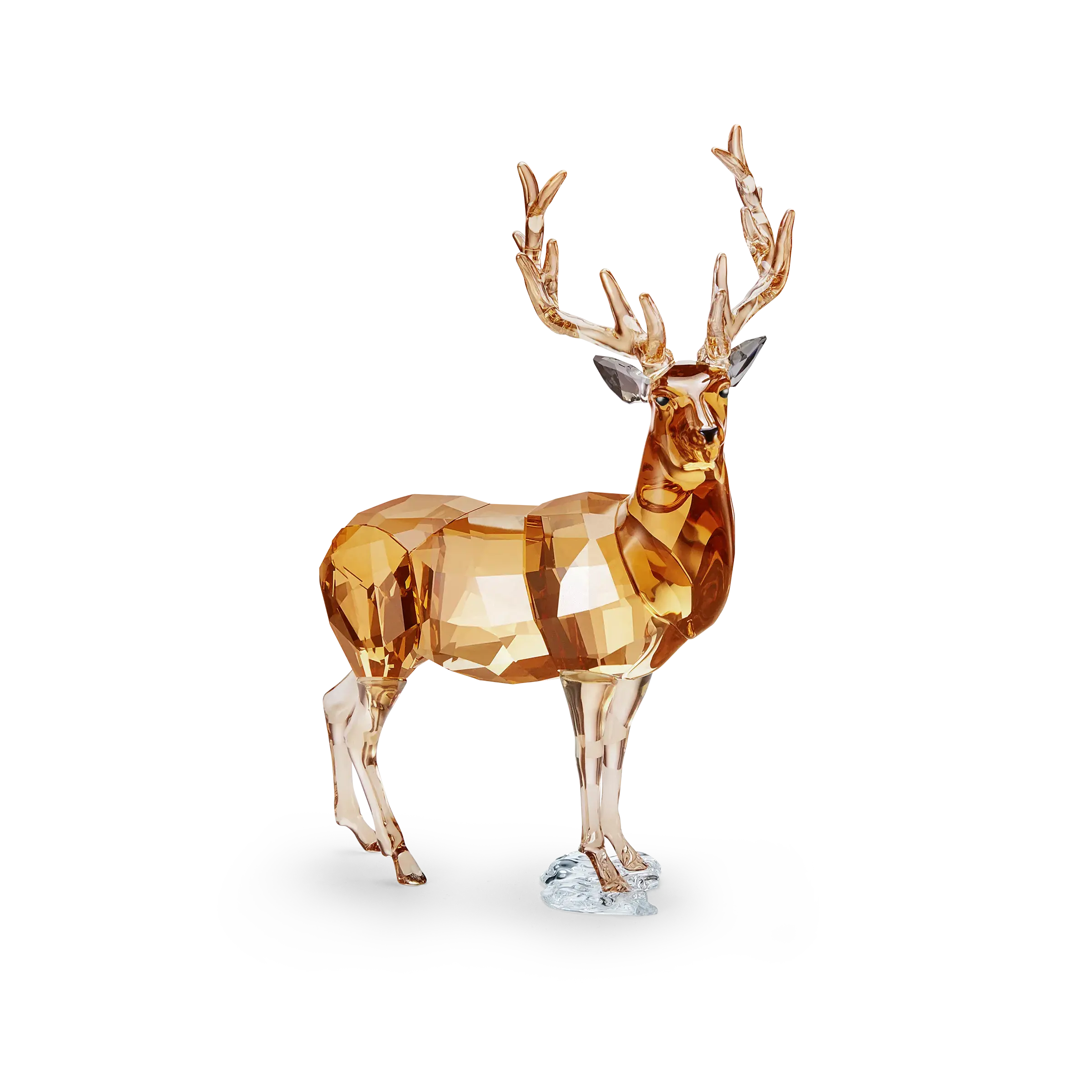 SCS Annual Edition 2020 Stag Alexander