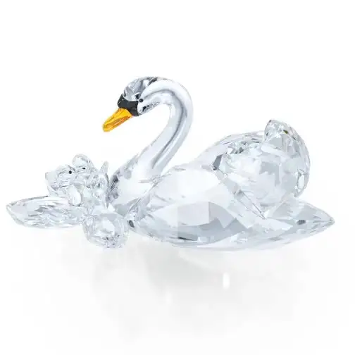 SCS Jubilee Edition 2017 Swans