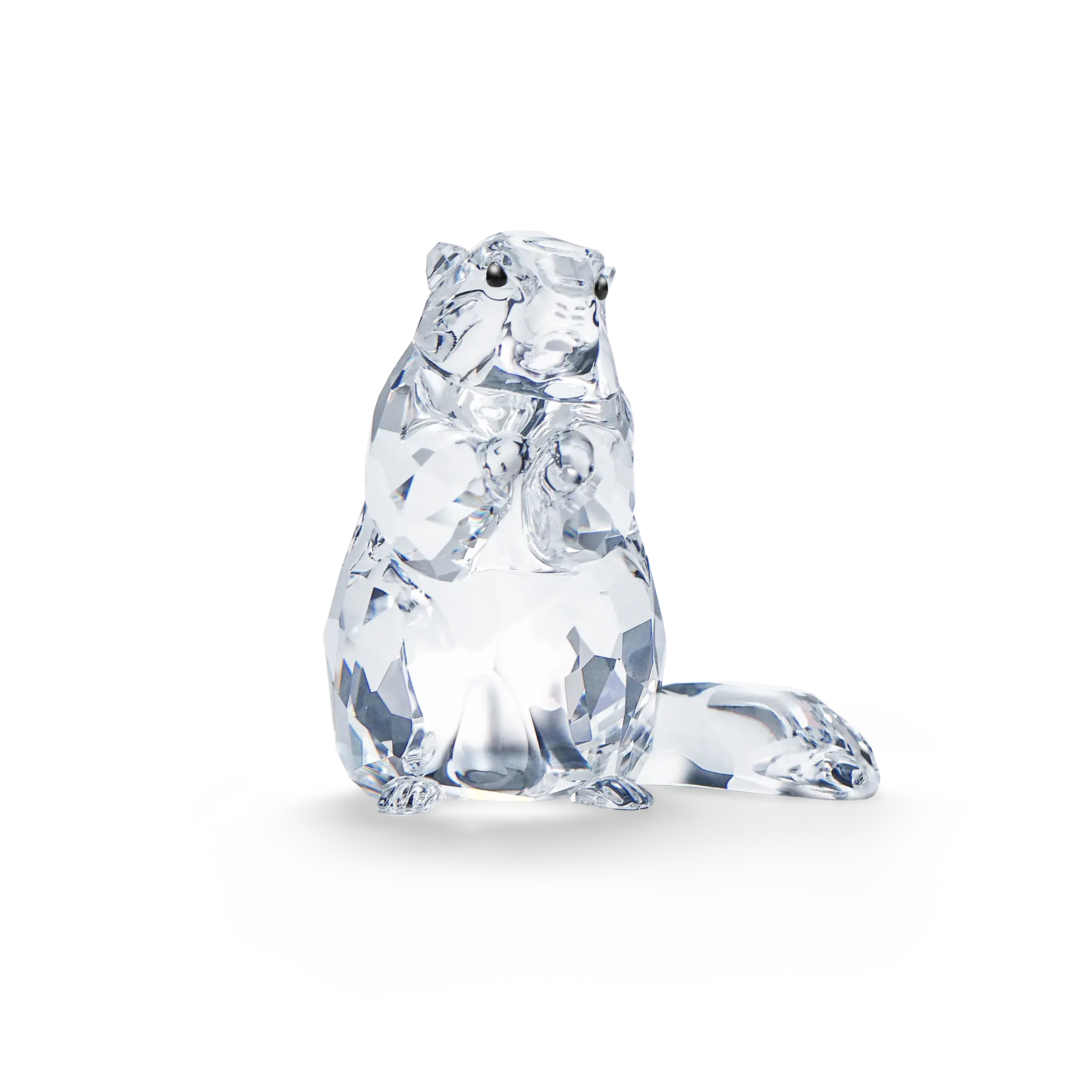 SCS Marmot (Event Piece 2020)