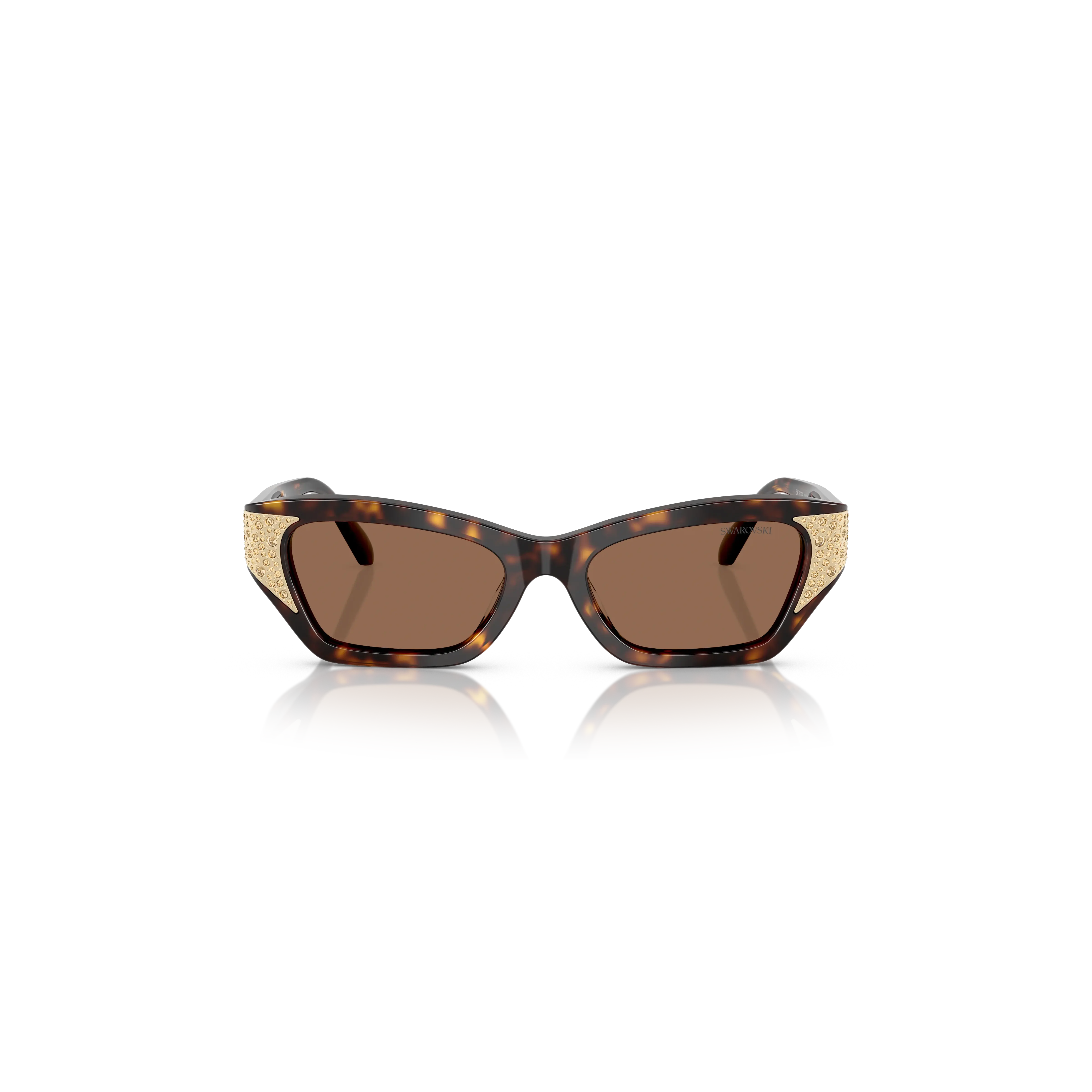 sunglasses-cat-eye-shape-sk6029-brown-swarovski-5706559-2.webp