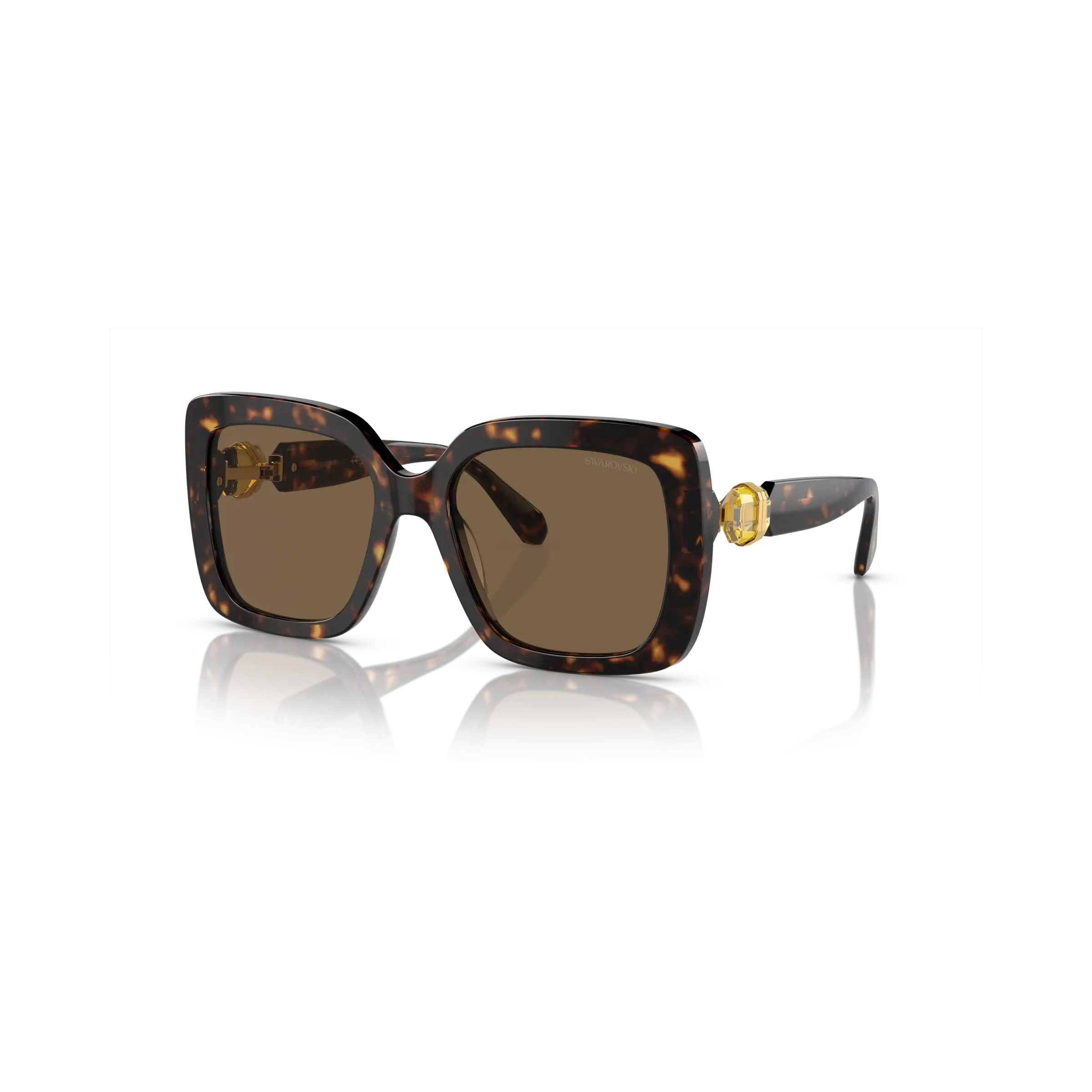 Sunglasses Oversized/Square shape/SK6001/Brown