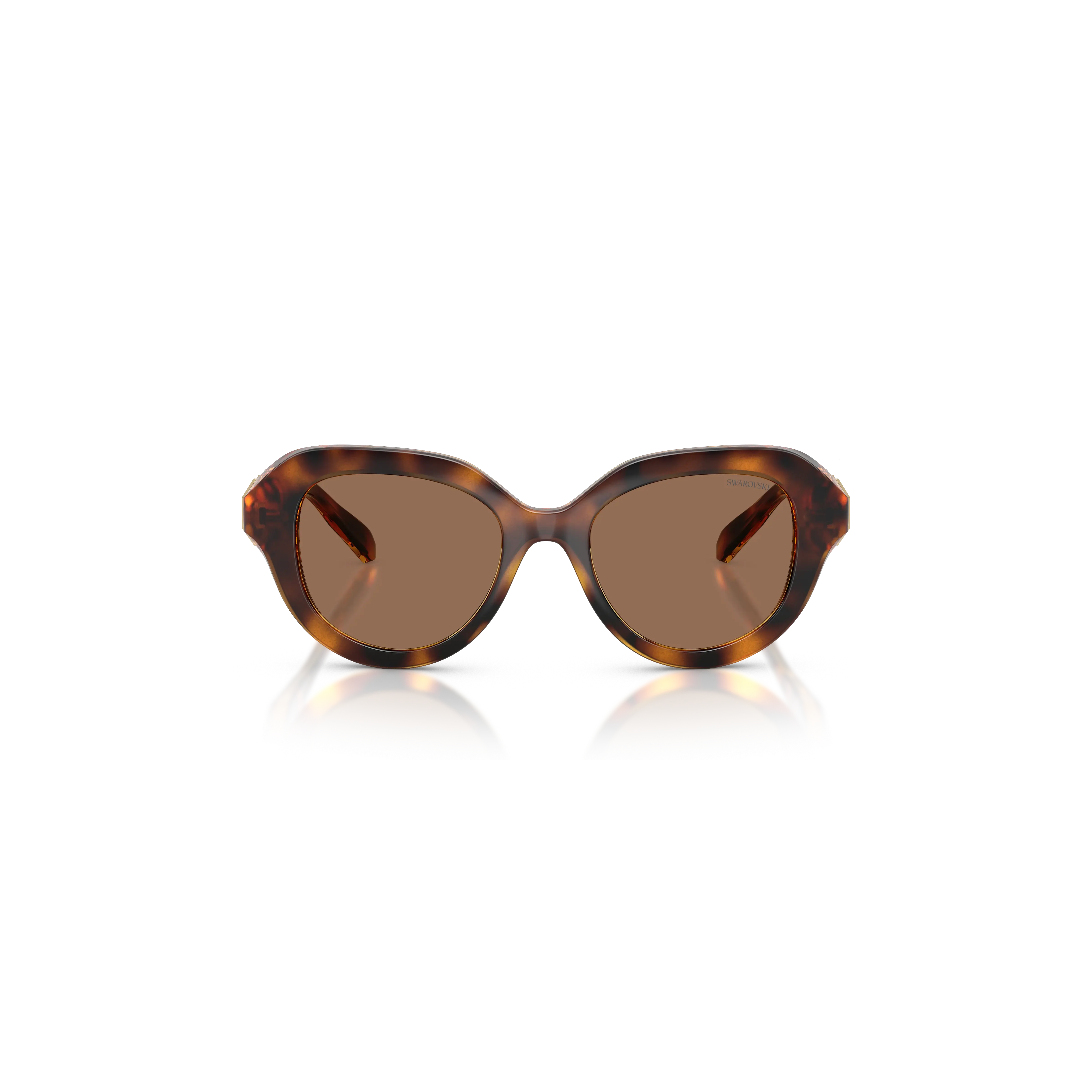 Sunglasses Round shape/Brown