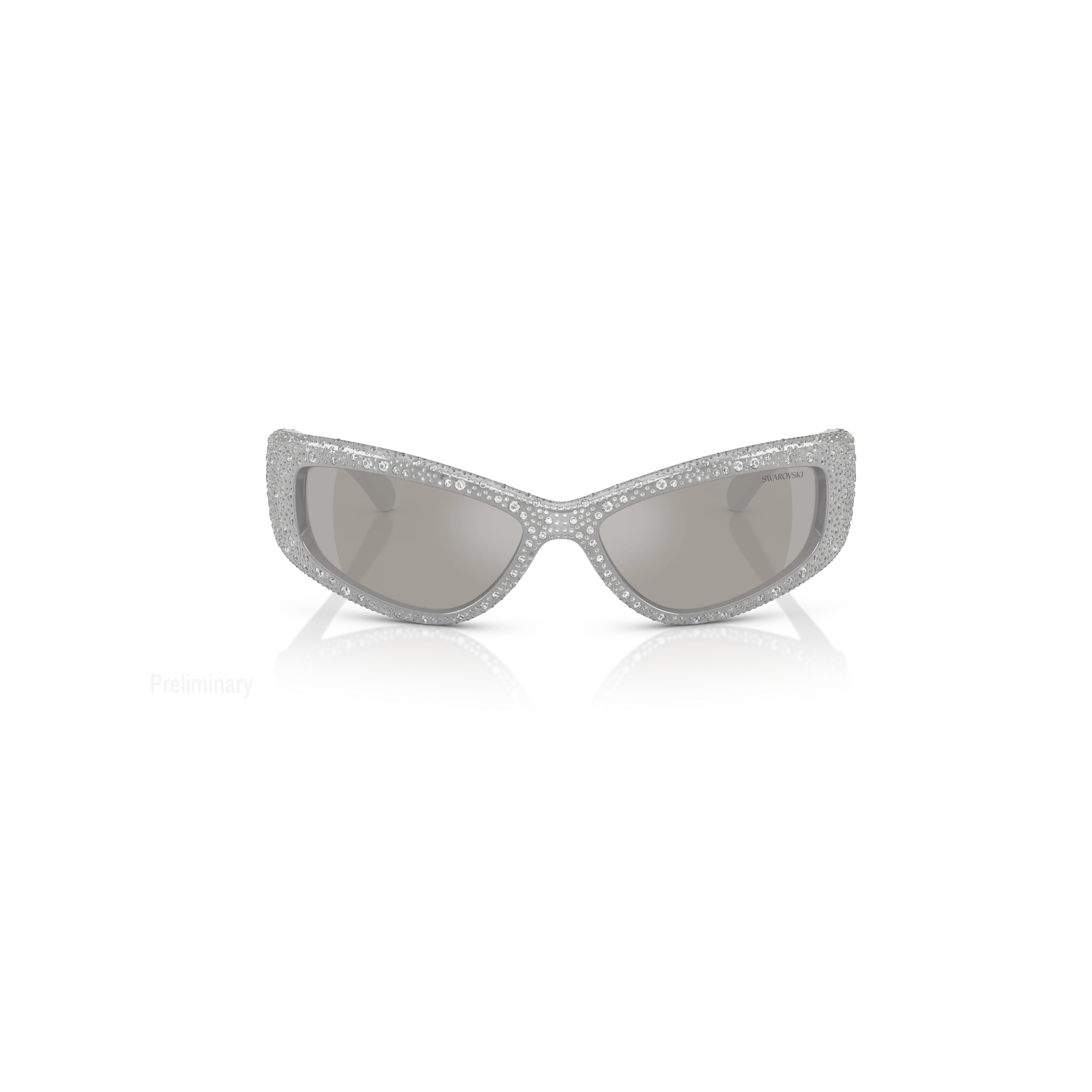 Sunglasses SK6027/Silver tone