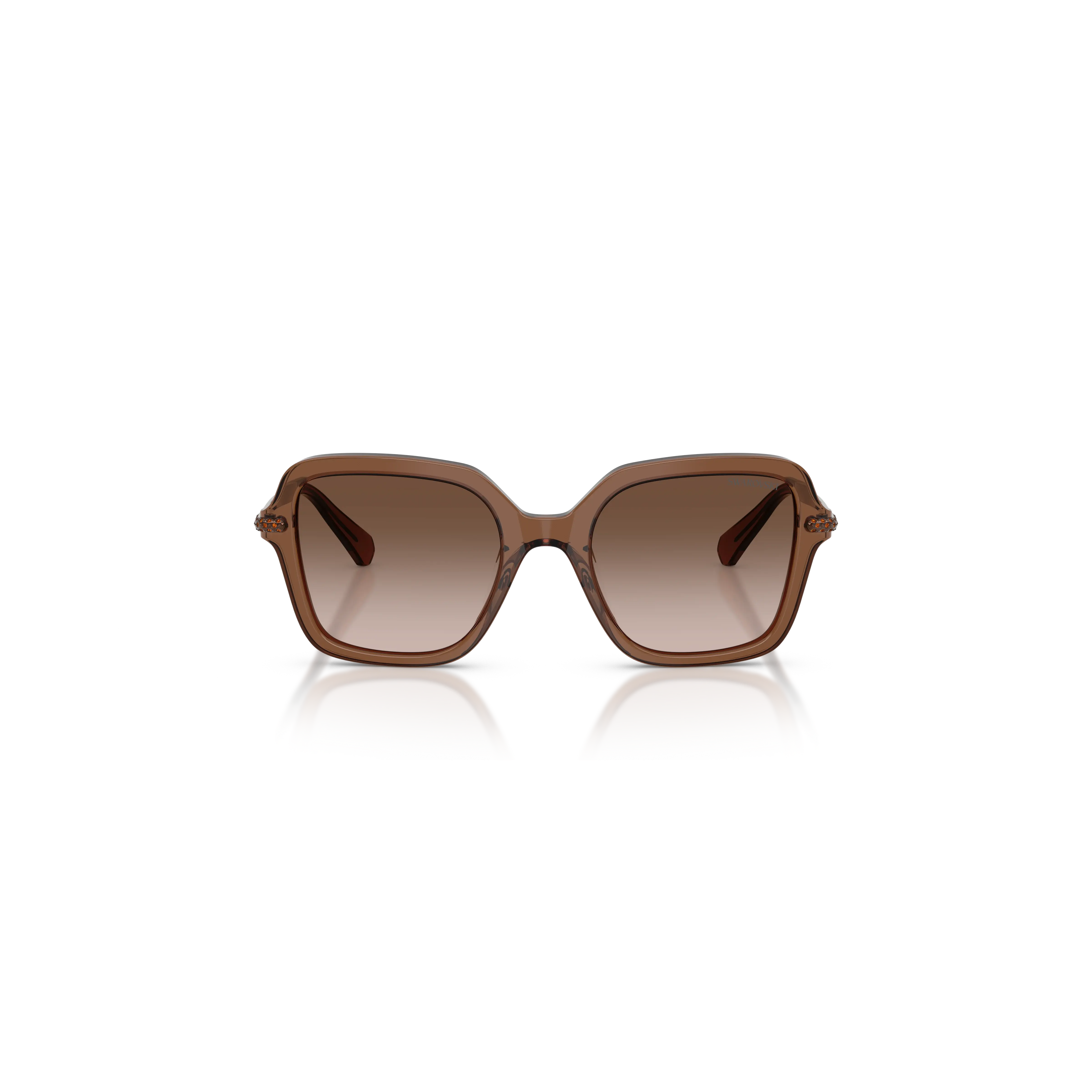 Sunglasses Square shape/Brown