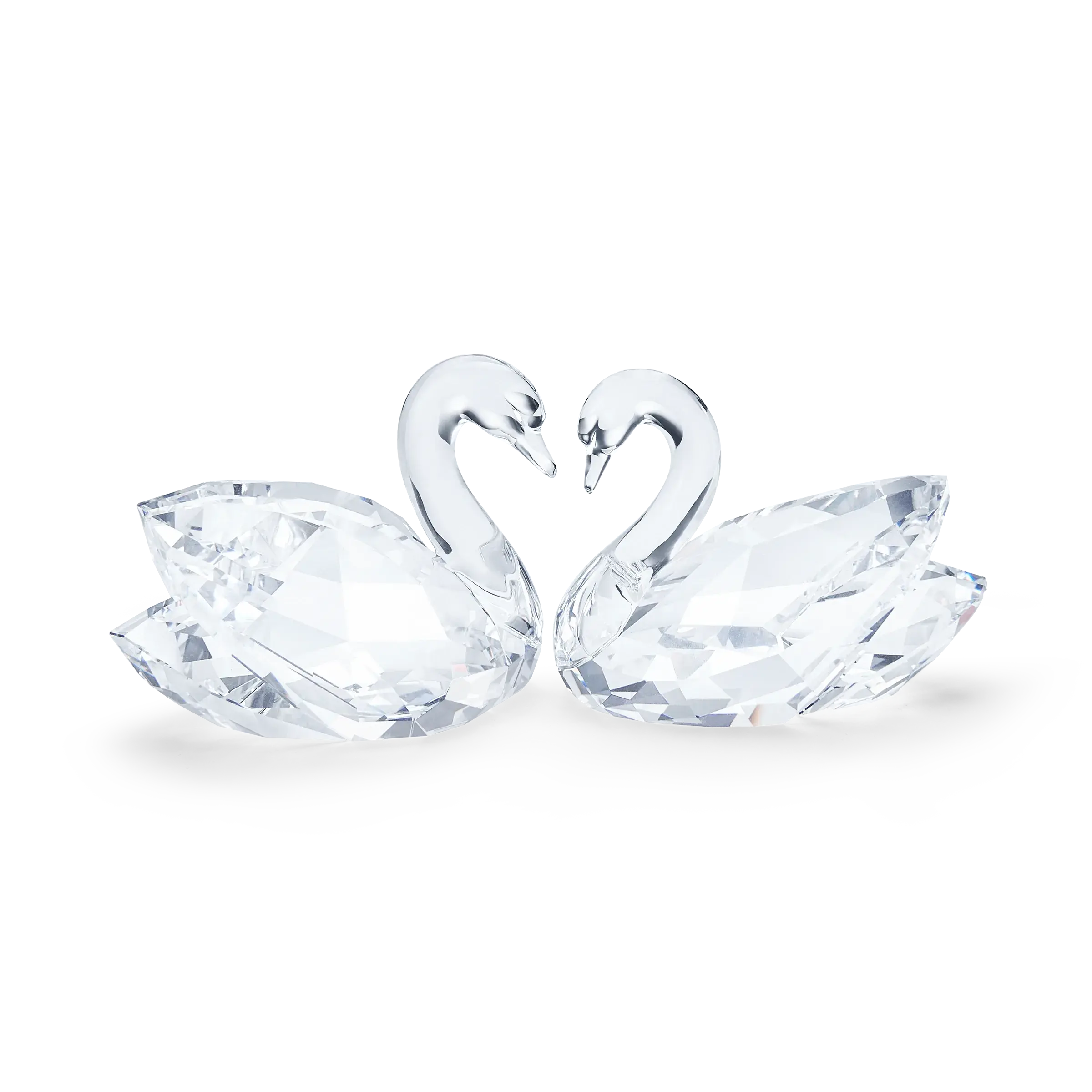 Swan Couple