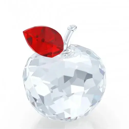 Travel Memories New York Apple